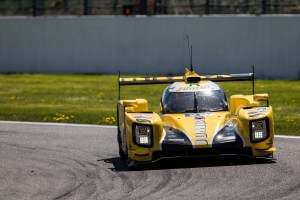 #29 Racing Team Nederland DALLARA P217 GIBSON - Frits VAN EERD \ Giedo VAN DER GARDE \ Jan LAMMERS